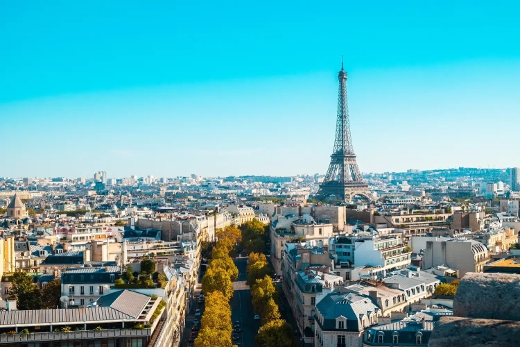 French Language